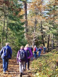 20231117_102534_resized-1