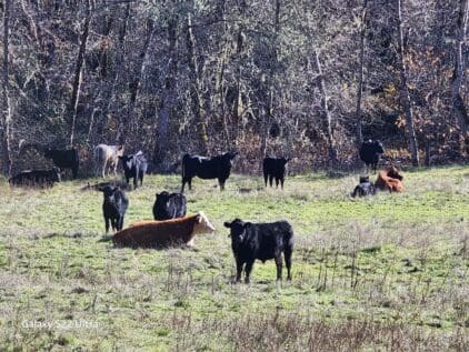 20231117_114917_resized1